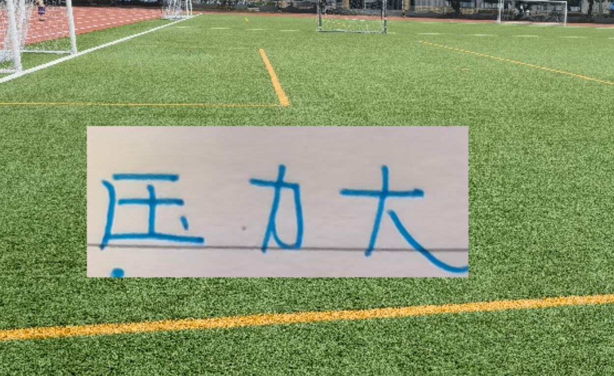 kaiyun-冰火两重天！四大澳洲教头 浙江跟北京国安主帅不好过 谁会先下课